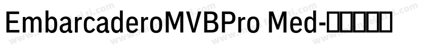 EmbarcaderoMVBPro Med字体转换